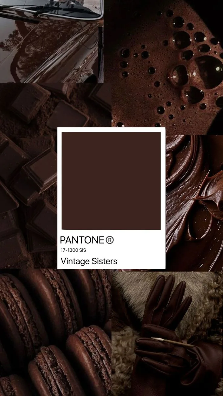 Chocolate moodboard: a cocoa car, molten chocolate, macarons, leather gloves, and a Vintage Sisters colour swatch